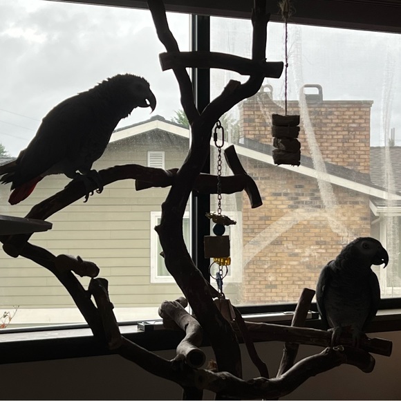 Meet your Posher, Kristi - Picture 16 of 17